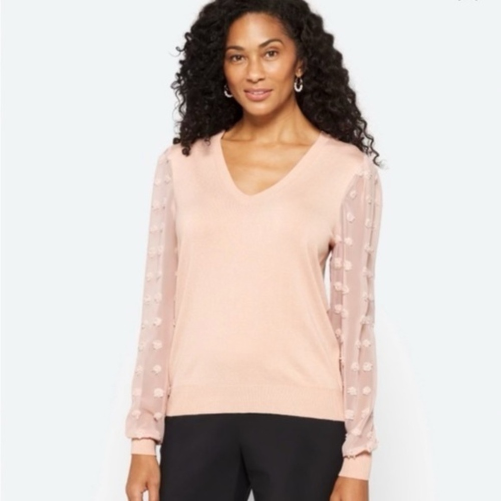 NEW…Les Serein Textured Sleeve V-Neck Sweater